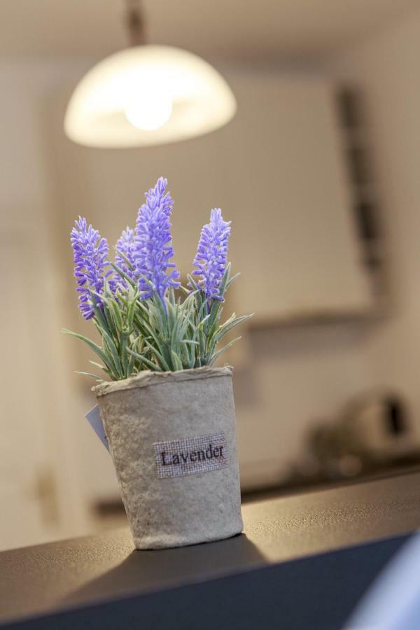 Strada Muresenilor - Savas Apartament บราชอฟ ภายนอก รูปภาพ